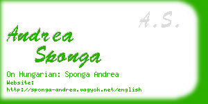 andrea sponga business card